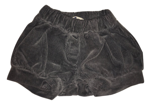 Le petit coco Baby Grey  Shorts